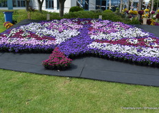 In de tuin van Royal van Zanten was o.a. deze mooie pauw te zien.